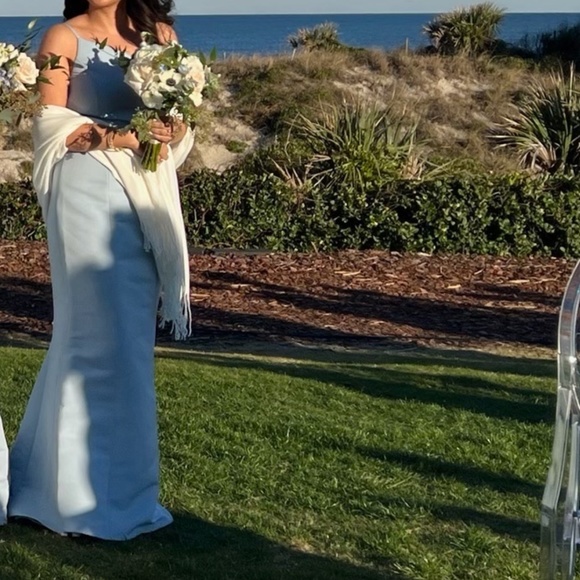 Amsale Cecilia bridesmaid dress size 4 color “ice” - Picture 5 of 14